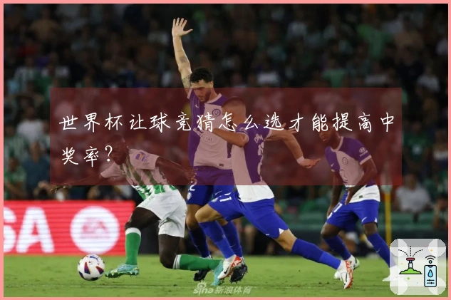 世界杯让球竞猜怎么选才能提高中奖率？