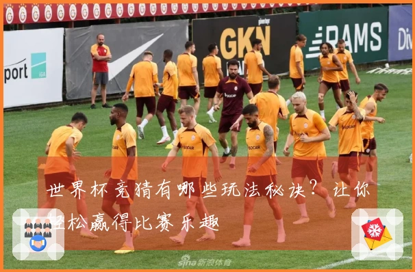 世界杯竞猜有哪些玩法秘诀？让你轻松赢得比赛乐趣