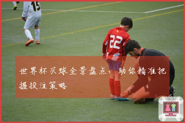 世界杯买球全景盘点，助你精准把握投注策略