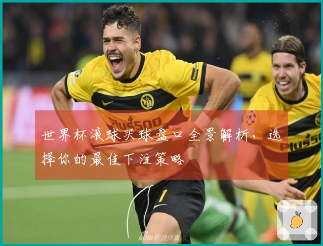 世界杯滚球买球盘口全景解析，选择你的最佳下注策略