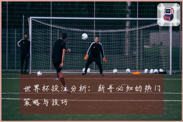 世界杯投注分析：新手必知的热门策略与技巧