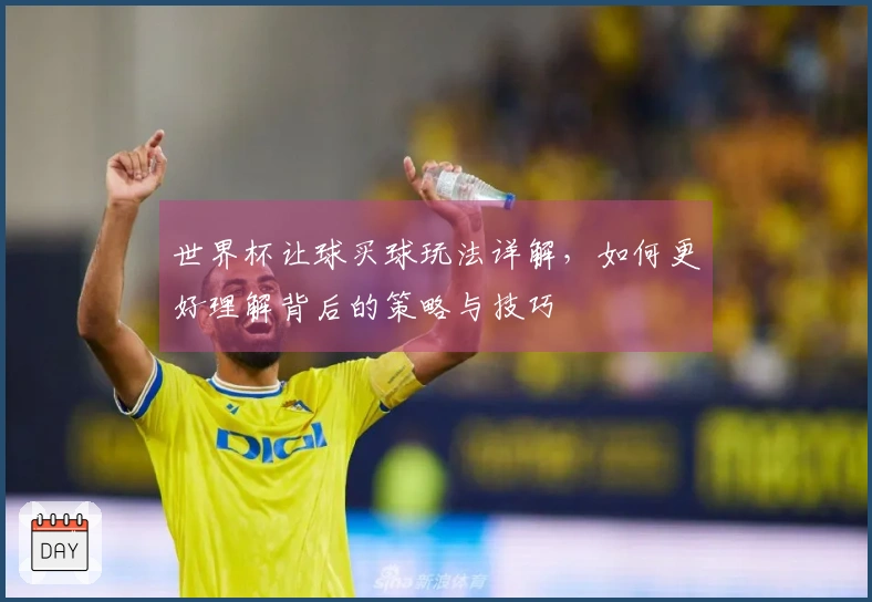 世界杯让球买球玩法详解，如何更好理解背后的策略与技巧