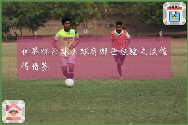 世界杯让球买球有哪些经验之谈值得借鉴
