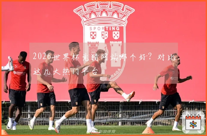 2026世界杯竞猜网站哪个好？对比这几大热门平台