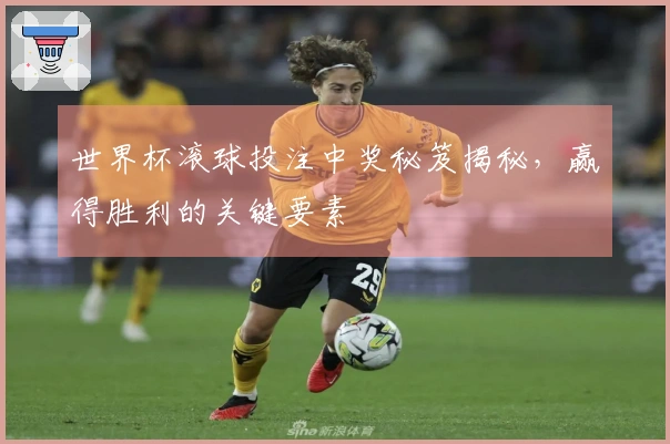 世界杯滚球投注中奖秘笈揭秘，赢得胜利的关键要素
