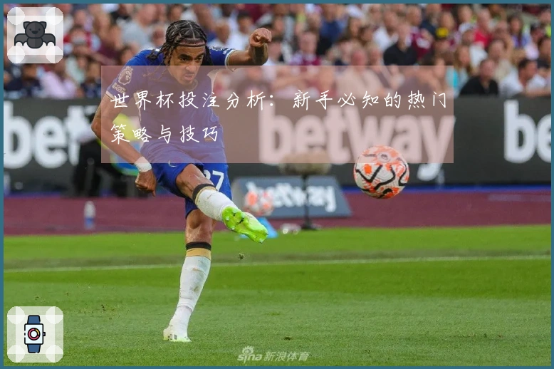 世界杯投注分析：新手必知的热门策略与技巧