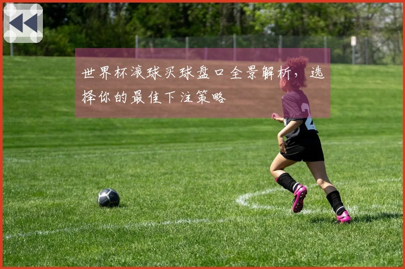 世界杯滚球买球盘口全景解析，选择你的最佳下注策略