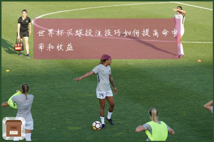 世界杯买球投注技巧如何提高命中率和收益
