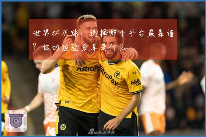 世界杯买球，选择哪个平台最靠谱？你的经验分享是什么