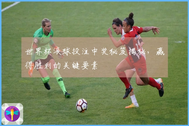 世界杯滚球投注中奖秘笈揭秘，赢得胜利的关键要素