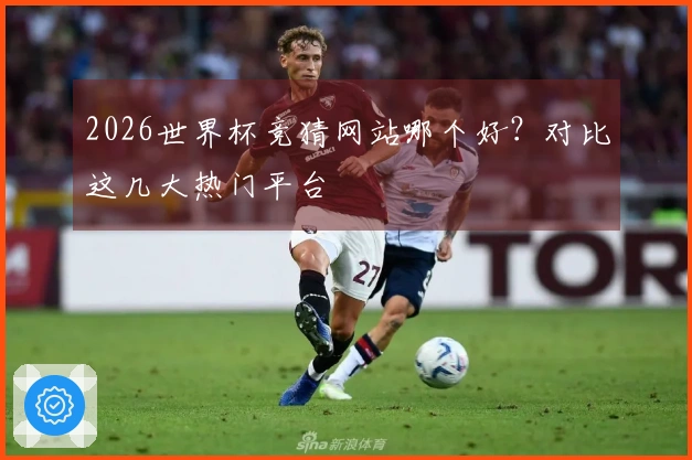 2026世界杯竞猜网站哪个好？对比这几大热门平台