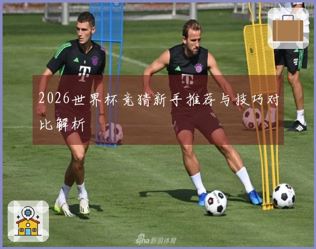 2026世界杯竞猜新手推荐与技巧对比解析