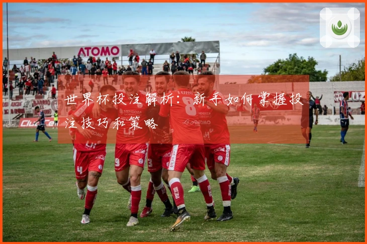 世界杯投注解析：新手如何掌握投注技巧和策略