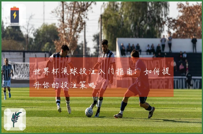 世界杯滚球投注入门指南：如何提升你的投注策略