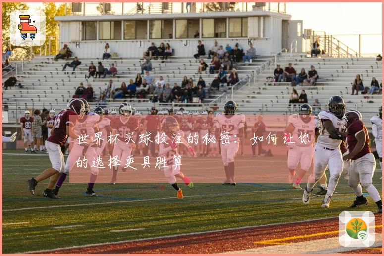 世界杯买球投注的秘密：如何让你的选择更具胜算