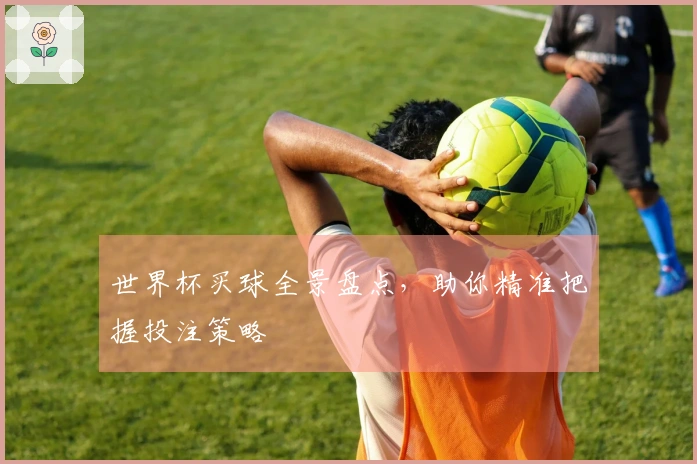 世界杯买球全景盘点，助你精准把握投注策略
