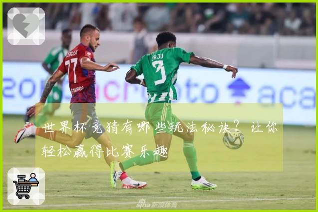 世界杯竞猜有哪些玩法秘诀？让你轻松赢得比赛乐趣